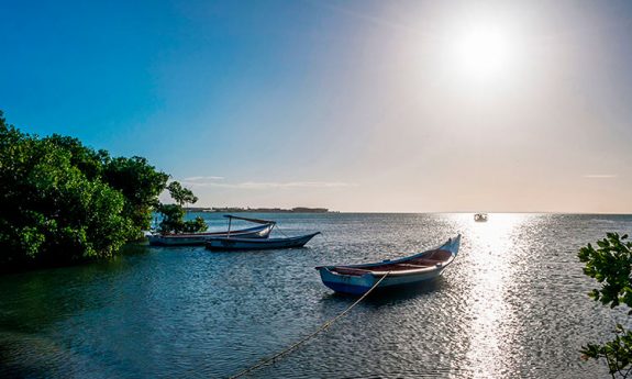 ¿El nombre ‘Isla de Margarita’ lo creó un gerundés?