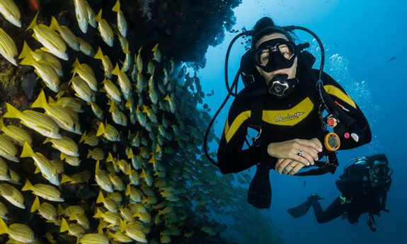 Conocer el Caribe y el Mediterráneo, desde abajo